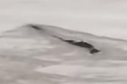 Bí ẩn 'quái vật hồ Loch Ness' phiên bản Trung Quốc