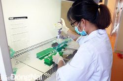 Đồng Nai đủ năng lực xét nghiệm dịch tả heo châu Phi