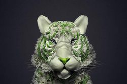 Loạt ảnh 'động vật' làm ai cũng choáng từ... hoa lá