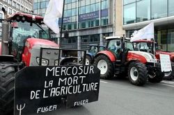 Quốc hội Áo bác bỏ Hiệp định thương mại tự do EU-Mercosur