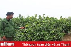 Chặng 'nước rút' trong xây dựng nông thôn mới ở huyện Nga Sơn
