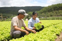Ðể đồng bào không nằm ngoài sự phát triển nông nghiệp công nghệ cao