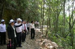 Thể thao Thể thao Bạch Mã tạm ngừng đón khách từ 7 giờ đến 12 giờ ngày 21/9