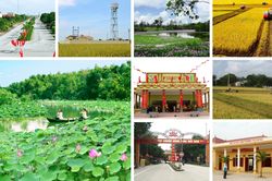 Chủ trương đúng, cách làm hay