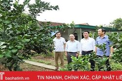 Nông thôn mới vì mục tiêu nâng cao đời sống vật chất, tinh thần cho người dân Hà Tĩnh