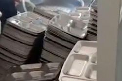 Sa thải hiệu trưởng dùng bột giặt rửa đĩa ăn của học sinh