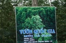 Khởi tố vụ án tham ô tài sản tại Vườn Quốc gia Mũi Cà Mau