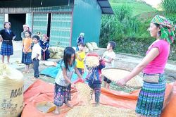 Thu gọn đầu mối quản lý để tập trung nguồn lực