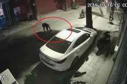 Clip: Kẻ bịt mặt liên tiếp ném mắm tôm trộn dầu luyn vào xe ô tô ở Hà Nội
