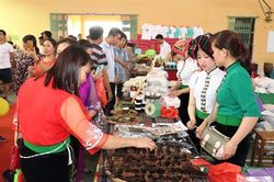 Say đắm màn múa xòe Nghĩa Lộ: 'Vào đây anh, tay cầm tay múa xòe cùng em...'
