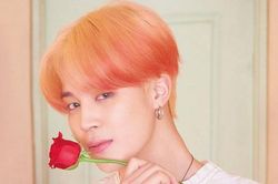 Cách ứng xử của Jimin BTS với nhân viên cực đáng yêu, khiến fan gào lên 'Thuê em đi!'