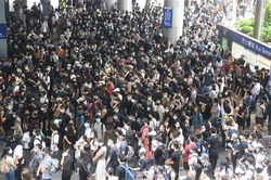 Gần 90% trường học tại Hong Kong không có học sinh tham gia bãi khóa