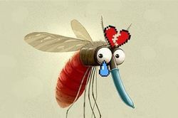 Dự án tận diệt loài muỗi thất bại vì muỗi cái không chịu 'ân ái' với muỗi đực biến đổi gen