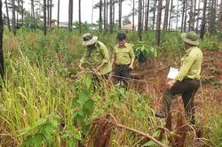Thu hồi toàn bộ đất, rừng đã giao cho cộng đồng Thôn 4 nhận khoán quản lý, bảo vệ