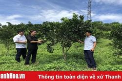 Đảng bộ huyện Lang Chánh nâng cao năng lực lãnh đạo, sức chiến đấu của tổ chức cơ sở đảng