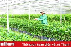 Điểm lại những chủ trương, cơ chế, chính sách phát triển khoa học và công nghệ
