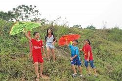 Trên những triền đê
