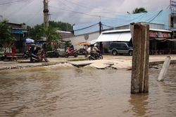 Erosion pushes Ca Mau's eastern coast to emergency status