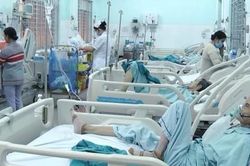 Nhiều người bị đốt nhập viện vì ong vò vẽ tấn công