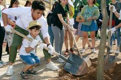 Chiến dịch 'Phủ xanh Việt Nam' góp phần đẩy lùi bầu không khí ô nhiễm