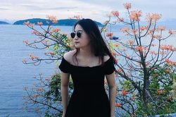 Check-in Cù Lao Chàm ngắm hoa ngô đồng nhuộm đỏ đảo xanh