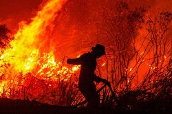 Cháy rừng Indonesia đang phủ đen bầu trời các nước Đông Nam Á