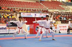 Gần 300 vận động viên tham gia giải vô địch karate quốc gia lần 29