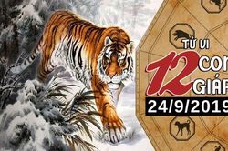 Xem tử vi thứ 3 ngày 24/9/2019 của 12 con giáp: Tý tài chính dồi dào, Tuất dễ vướng xích mích