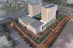Sao Mai (ASM) công bố chi trả cổ tức bằng tiền mặt