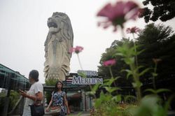 Singapore dỡ bỏ tượng sư tử biển lớn nhất để làm đường