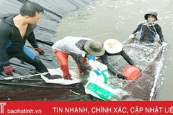 Đâu là hướng đi bền vững cho nuôi tôm trên cát ở Hà Tĩnh?