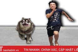 Thi chạy