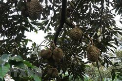 Nông dân giỏi hiến hàng nghìn mét đất xây dựng nông thôn mới