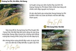 Mùa thu vàng tuyệt đẹp trên vùng rẻo cao Lào Cai