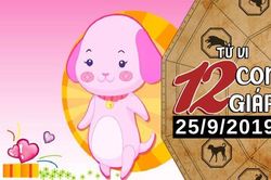 Xem tử vi thứ 4 ngày 25/9/2019 của 12 con giáp: Sửu may mắn ngập tràn, Dần chú ý chuyện tiền nong