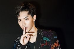 ERIK quyết tâm 'ở vậy nuôi chó'