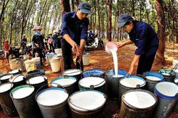 Lãnh đạo ra tay cứu giá cổ phiếu PHR