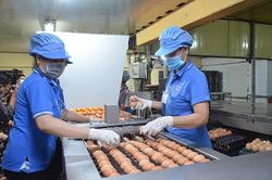 Thị trường TP. Hồ Chí Minh cuối năm: Nguồn cung đáp ứng đủ nhu cầu