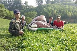 Thoát nghèo, cần nhất là ý thức vươn lên