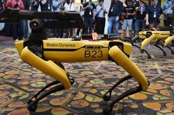 Mỹ thả chó robot vào nơi làm việc