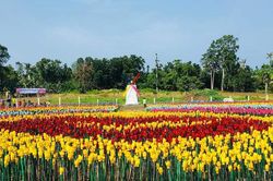 Rực rỡ vườn hoa tulip làm từ rác thải nhựa tại Philippines