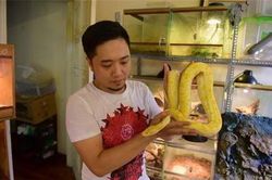 Rợn người xem chàng trai Hà thành đùa chơi với đàn trăn, rắn quý hiếm