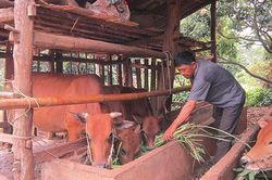 Diện mạo mới Nong Lào