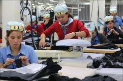 Chính trị - Xã hội Gia tăng trốn đóng bảo hiểm xã hội ở doanh nghiệp nhỏ