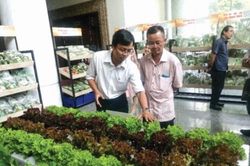Tín dụng thúc đẩy kinh tế tập thể