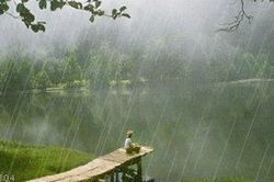 Hoa đời một kiếp xin thôi