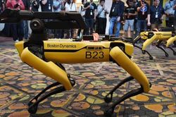 Diệu kỳ chú chó robot có thể vác đồ nặng tới hơn chục kg