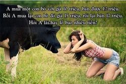 Bài toán tính lãi bán bò khiến nhiều người 'chào thua', còn bạn?