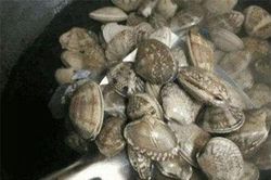 Chỉ cần thực hiện một bước nhỏ này thôi là bao nhiêu đất cát ở nghêu sò đều nhả ra hết sạch