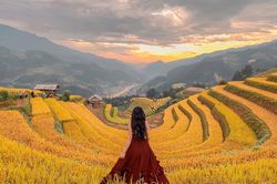 Đồi Móng Ngựa, điểm chụp lúa chín thu hút nhiếp ảnh gia ở Mù Cang Chải